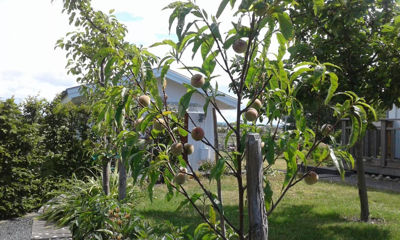 Stuga I Gamla-Koepstad Traslovslage Ngoại thất bức ảnh